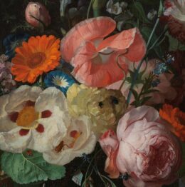 Help je mee om planten en insecten meer zichtbaar te maken?